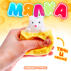 Мялка «Сыр», цвета МИКС - фото 319729435