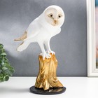 Сувенир полистоун "Белая сова на золотом пне" 25х12х20 см - фото 9805853