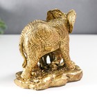 Фигурка полистоун «Слон со слонёнком», под золото, 9.5×7.5×11.5 см - фото 22635876