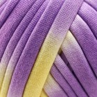 Пряжа трикотажная 95% хлопок, 5% эластан "Lentino Melange" 100 гр 30 м цвет 6 (комплект 2 шт) - фото 21643100