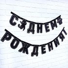 Гирлянда на люверсах с украшениями 5 шт. «С Днем рождения!», черно-белый, длина 246 см - Фото 3