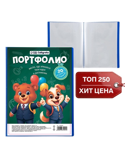 Папка-портфолио пластиковая А4, Calligrata «Снова в школу», 20 файлов