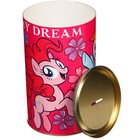 Копилка металлическая, 20,5 см х 12 см х 12 см, XXL "My Dream", My Little Pony 7725136 - фото 2377747