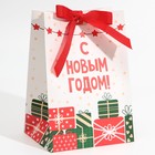 Пакет подарочный с лентой «Подарочки», 13 × 19 × 9 см - фото 9809263