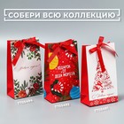 Пакет подарочный с лентой «Новогодняя пора», 13 × 23 × 7 см - фото 9584834