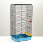 Клетка для птиц "Рикки 5", 48 х 36 х 97 см, микс цветов - фото 17021105