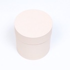 Набор шляпных подарочных коробок 5 в 1 «Ваниль однотонный», 20×20×20 ‒ 13.5×13.5×13.5 см - Фото 5