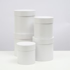 Набор шляпных коробок 5 в 1 "Белизна", 20 × 20 × 20 ‒ 13,5 × 13,5 × 13,5 см - фото 298703900