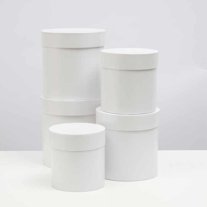 Набор шляпных коробок 5 в 1 "Белизна", 20 × 20 × 20 ‒ 13,5 × 13,5 × 13,5 см - Фото 1