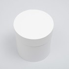 Набор шляпных коробок 5 в 1 "Белизна", 20 × 20 × 20 ‒ 13,5 × 13,5 × 13,5 см - Фото 4