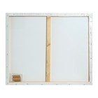 УЦЕНКА Холст на подрамнике, хлопок 100%, 1.6×50×60 см, акриловый грунт, среднезернистый, 380 г/м² 9095330