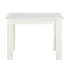 Стол обеденный «Лайт Эко», 1000×600×750 мм, цвет белый - Фото 2
