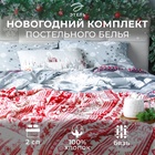 Постельное бельё "Этель" 2 сп Snow time 175х215см,200х220см,50х70см-2 штуки 7787728 - фото 14499054