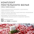Постельное бельё "Этель" 2 сп Snow time 175х215см,200х220см,50х70см-2 штуки 7787728 - фото 14499057