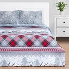 Постельное бельё Этель Евро Snow time 200х217см,220х240см,50х70см-2 шт - фото 14701315