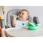 Набор для кормления: миска на присоске с крышкой, ложка, цвет зеленый - фото 21646374