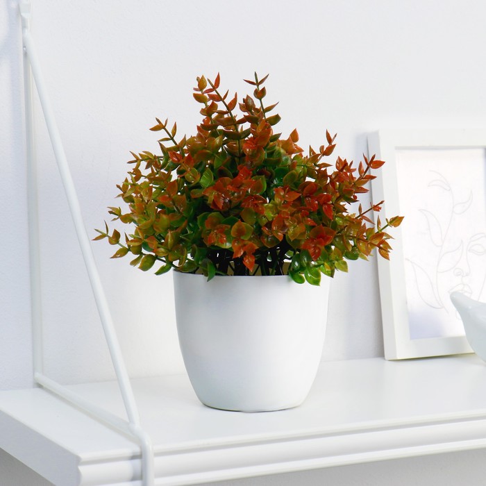 Искусственный цветок в горшке «Мелкие листики», 11×16 см, МИКС
