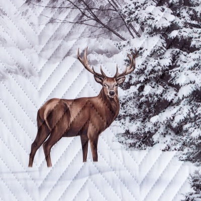 Покрывало евро «Этель» Snow forest, 230×210 см, микрофибра