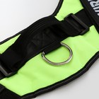 Шлейка К9, размер XXL, ОГ 95-110 см, вес 40-70 кг, мягкая, светоотражающая, салатовая - Фото 4