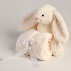 Мягкая игрушка с пледом «Зайка», цвет белый - фото 4629936