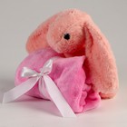 Мягкая игрушка с пледом «Зайка», цвет розовый - Фото 2