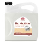 Полироль пластика Sintec Dr.Active Polyrole Matte, ваниль, 5 кг - фото 296623908