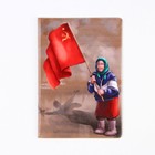 Обложка для паспорта «Бабуля», ПВХ, полноцветная печать 9037431