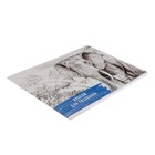 Альбом для рисования А4, 40 листов на скрепке "Слон", обложка мелованный картон, блок 100 г/м² - Фото 2