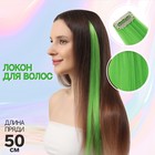 Локон накладной, прямой волос, на заколке, 50 см, 5 гр, цвет зелёный - фото 780710