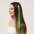 Локон накладной, прямой волос, на заколке, 50 см, 5 гр, цвет зелёный - Фото 4