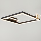 Люстра "Бабочки Уно" 36Вт LED 6000К черный 45х45х6см BayerLux - Фото 2
