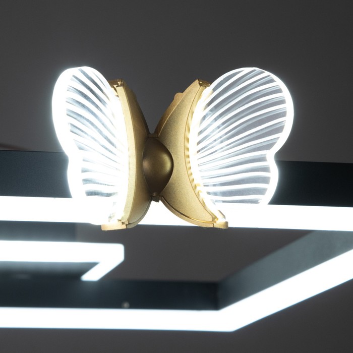 Люстра "Бабочки Уно" 36Вт LED 6000К черный 45х45х6см BayerLux - фото 1901625741