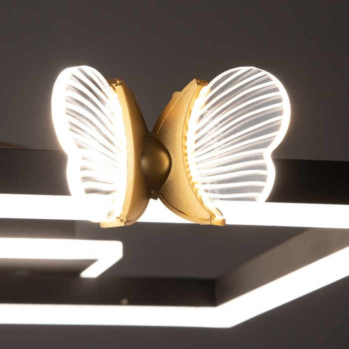 Люстра "Бабочки Уно" 36Вт LED 6000К черный 45х45х6см BayerLux - фото 1901625742