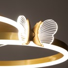 Люстра с ПДУ "Бабочки Пента" 108Вт LED 3000-6000К золото 75х75х15см BayerLux - Фото 9
