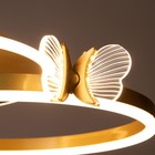 Люстра с ПДУ "Бабочки Пента" 108Вт LED 3000-6000К золото 75х75х15см BayerLux - Фото 10