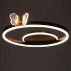 Люстра "Бабочки Уно" 36Вт LED 6000К черный 45х45х6см BayerLux - Фото 3