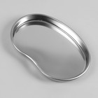 Лоток для маникюрных инструментов, нержавеющая сталь, 21 × 14 × 2 см, цвет серебристый - фото 24622324