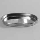 Лоток для маникюрных инструментов, нержавеющая сталь, 21 × 14 × 2 см, цвет серебристый - фото 24622325