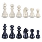Шахматные фигуры турнирные Leap, пластик, король h-9.5 см, пешка h-5 см, 32 шт - Фото 1