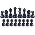 Шахматные фигуры турнирные Leap, пластик, король h-9.5 см, пешка h-5 см, 32 шт - Фото 2
