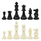 Шахматные фигуры турнирные Leap, 32 шт, король h-9.5 см, пешка h-5 см, полипропилен - фото 51141812