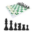 Шахматные фигуры турнирные Leap, 32 шт, король h-9.5 см, пешка h-5 см, полипропилен - фото 3876314