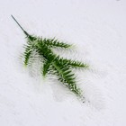 Декор «Веточка ели со снегом», набор 4 шт., размер 1 шт. — 24 × 13 × 2 см - фото 9406822