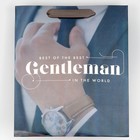 Пакет подарочный ламинированный, упаковка, «Джентельмен», радужная голография, MS 18 х 23 х 10 см - фото 24579127