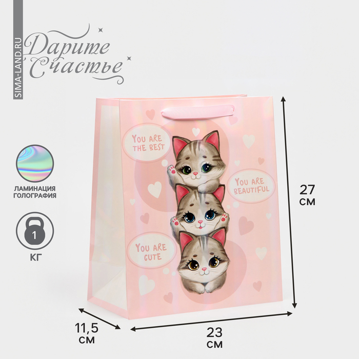 Пакет подарочный ламинированный, упаковка, «Котики», радужная голография, ML 23 х 27 х 11,5 см