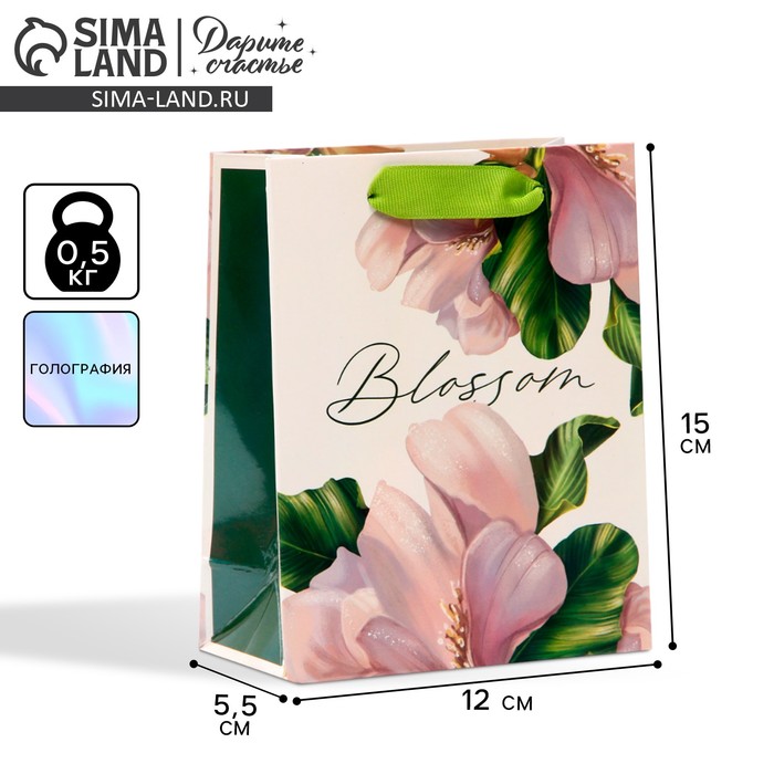 Пакет подарочный ламинированный, упаковка, «Цветение», радужная голография, S 12 х 15 х 5.5 см