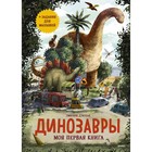 Динозавры. Моя первая книга. Эмилия Дзюбак - фото 108880647