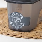 Ёмкость для сыпучих продуктов «Бест», 1 л, 9,5×19×9,5 см, прозрачная, крышка серая - Фото 3