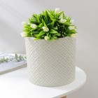 Кашпо для цветов со вставкой «Этна», 3.4 л, d=20 см, h=19 см, белое - Фото 1