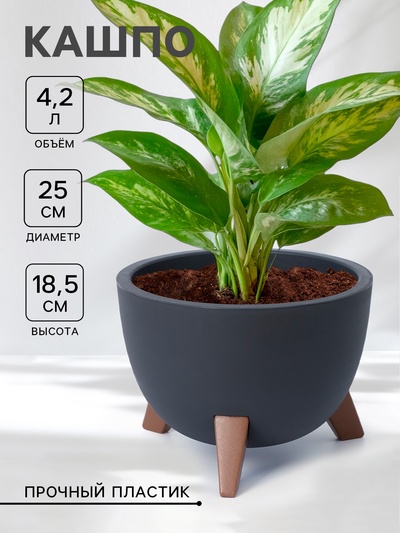 Кашпо для цветов на ножках «Флориан», 5.5 л (4.2 л), d=25 см, h=18.5 см, со вставкой, цвет графитовый